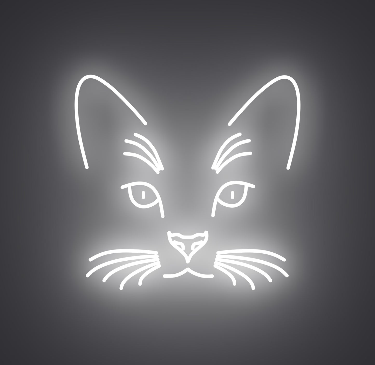 Cat Face