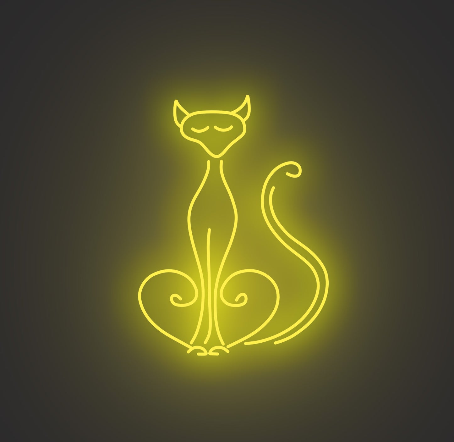Pompous Cat