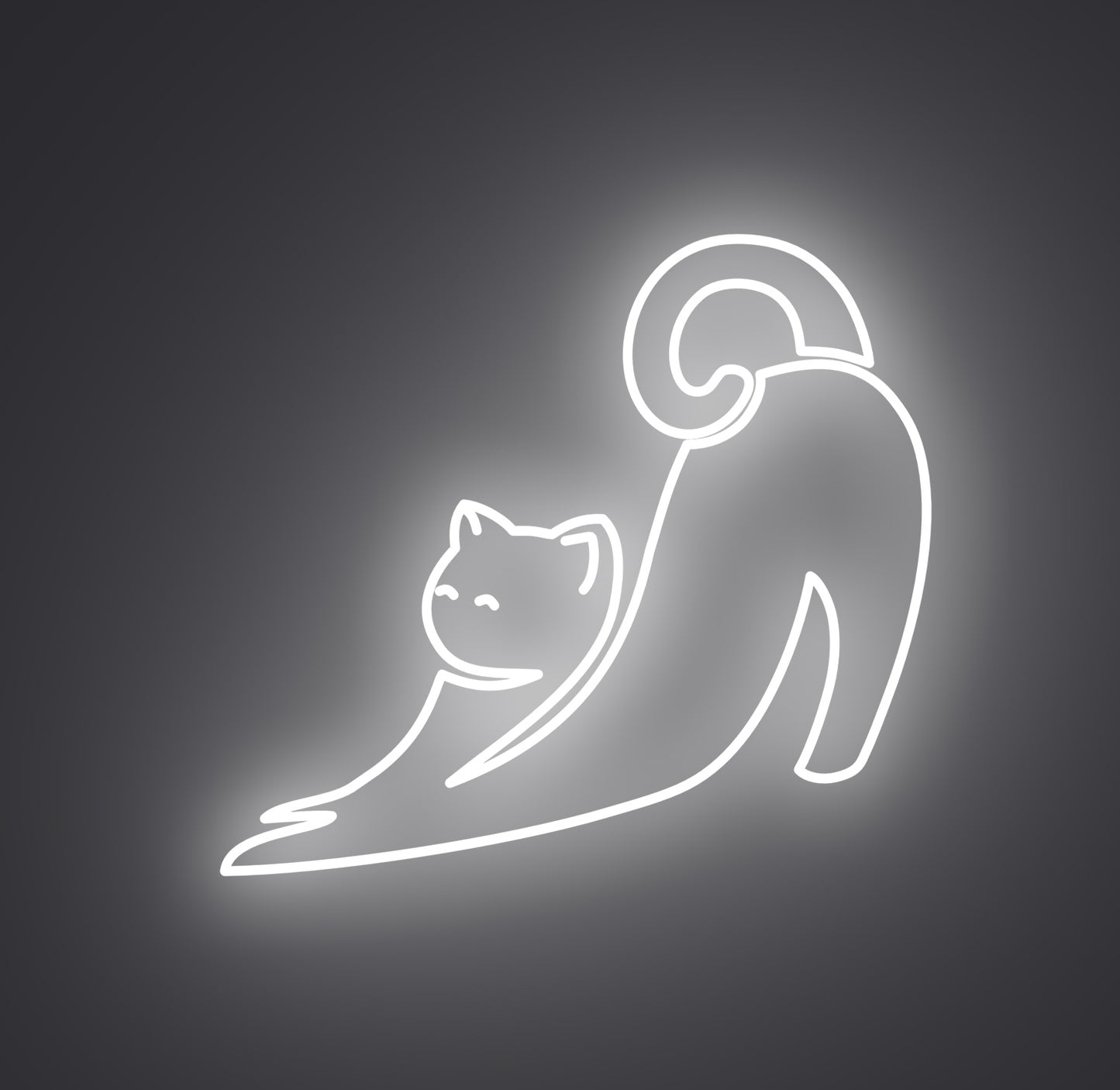 Stretching Cat