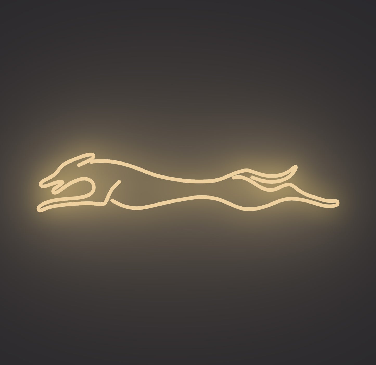 Greyhound Dog
