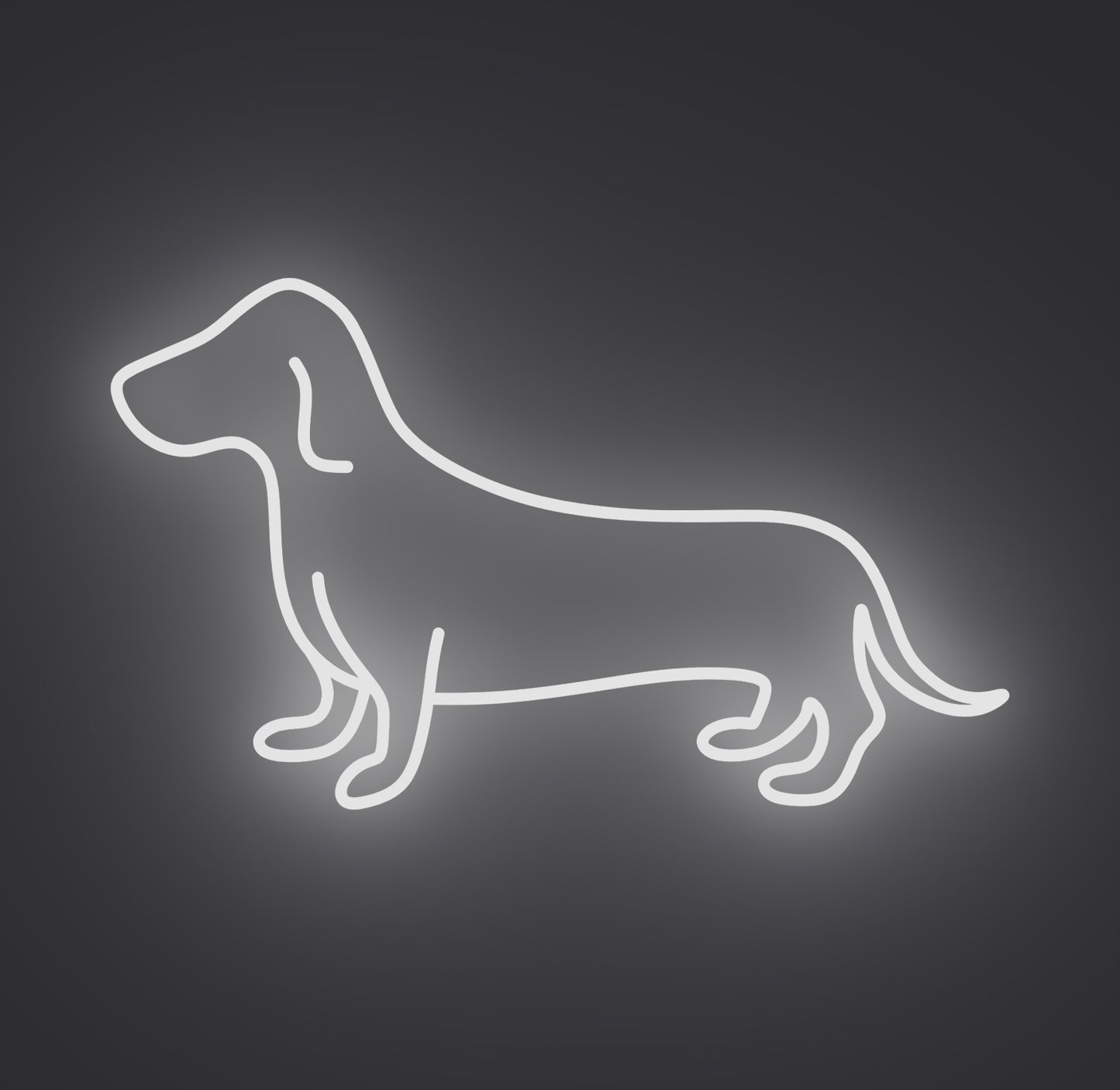 Dachshund Sausage Dog