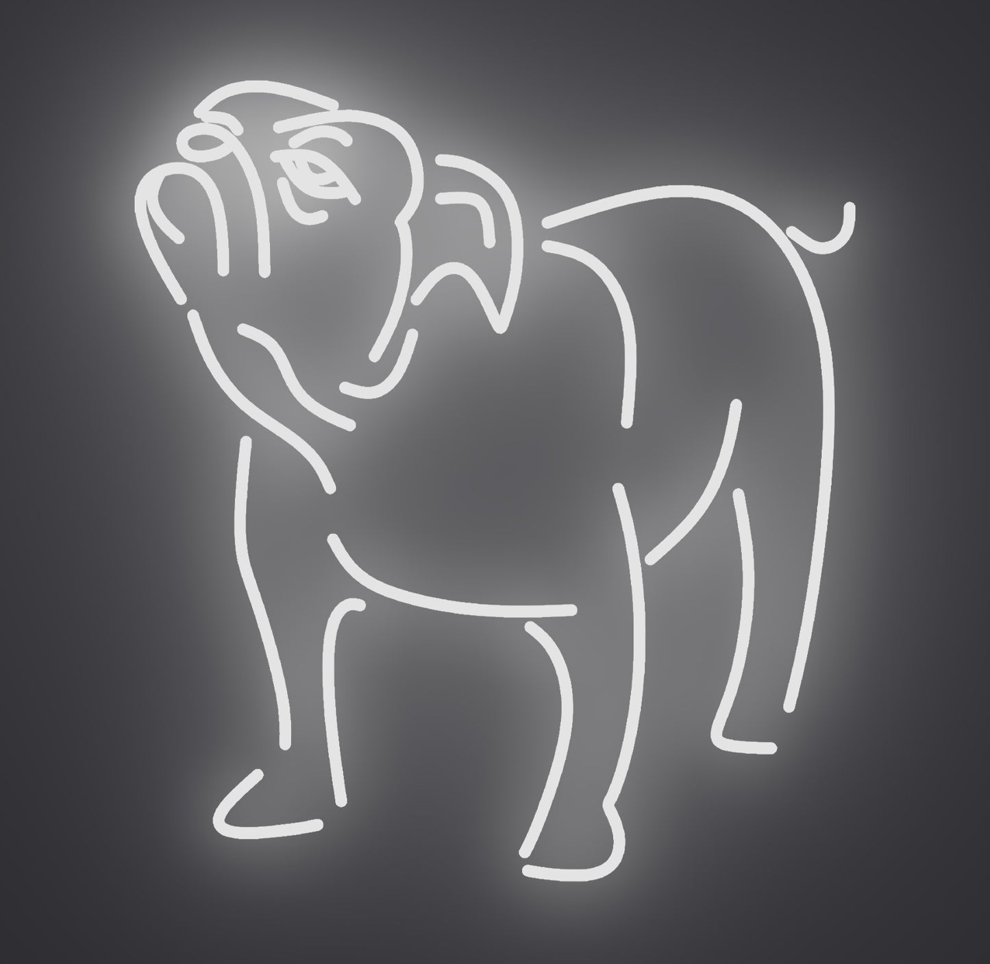 Bulldog