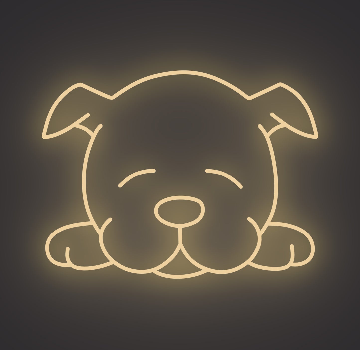 Sleeping Puppy Dog