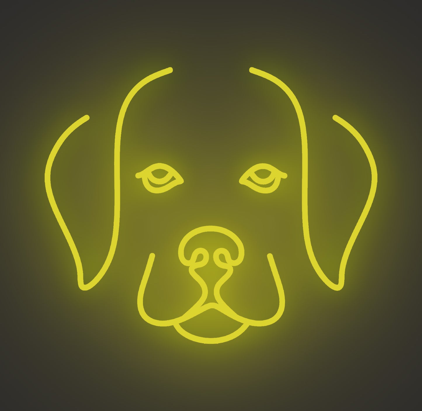 Labrador Retriever Puppy Dog