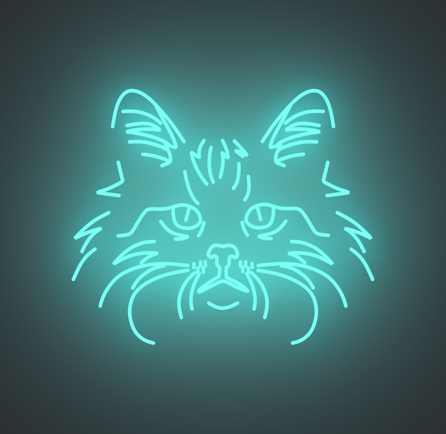 Norwegian Forest Cat