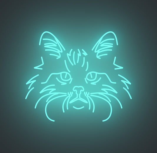 Norwegian Forest Cat