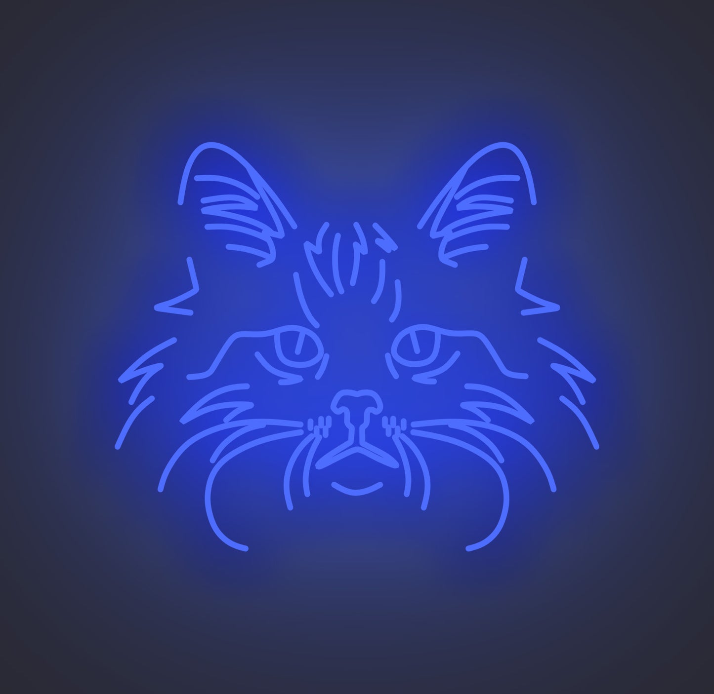 Norwegian Forest Cat