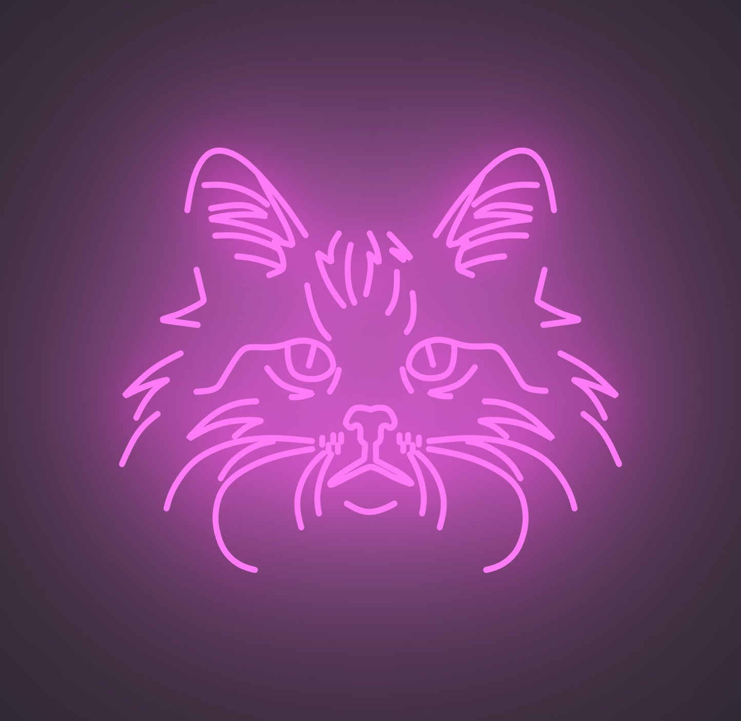 Norwegian Forest Cat