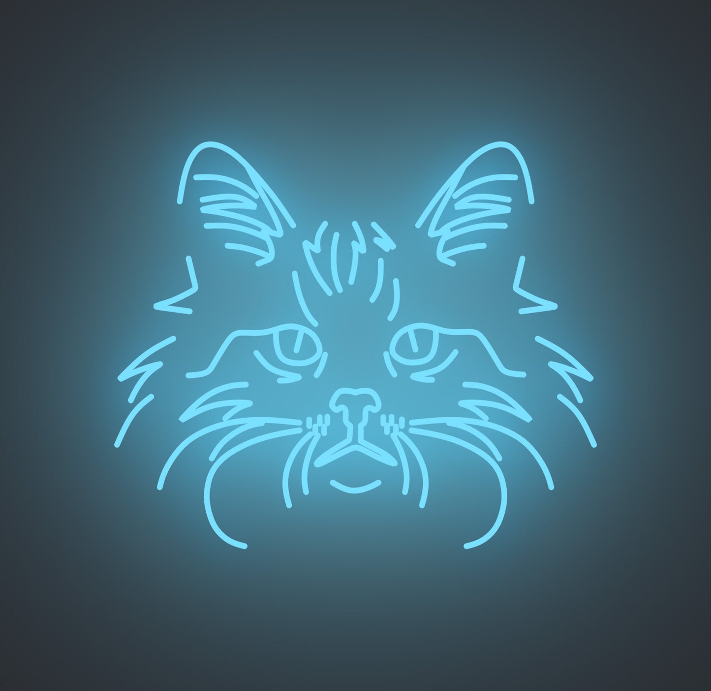 Norwegian Forest Cat