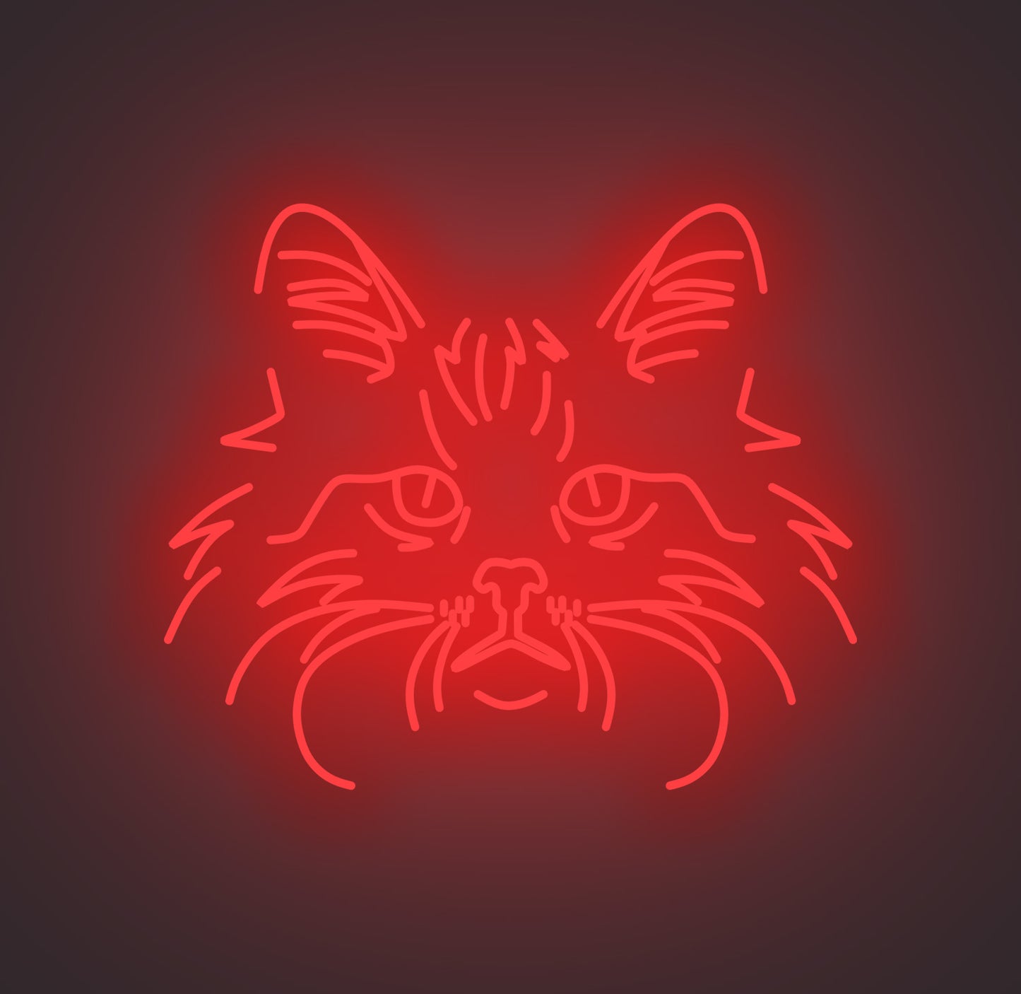 Norwegian Forest Cat