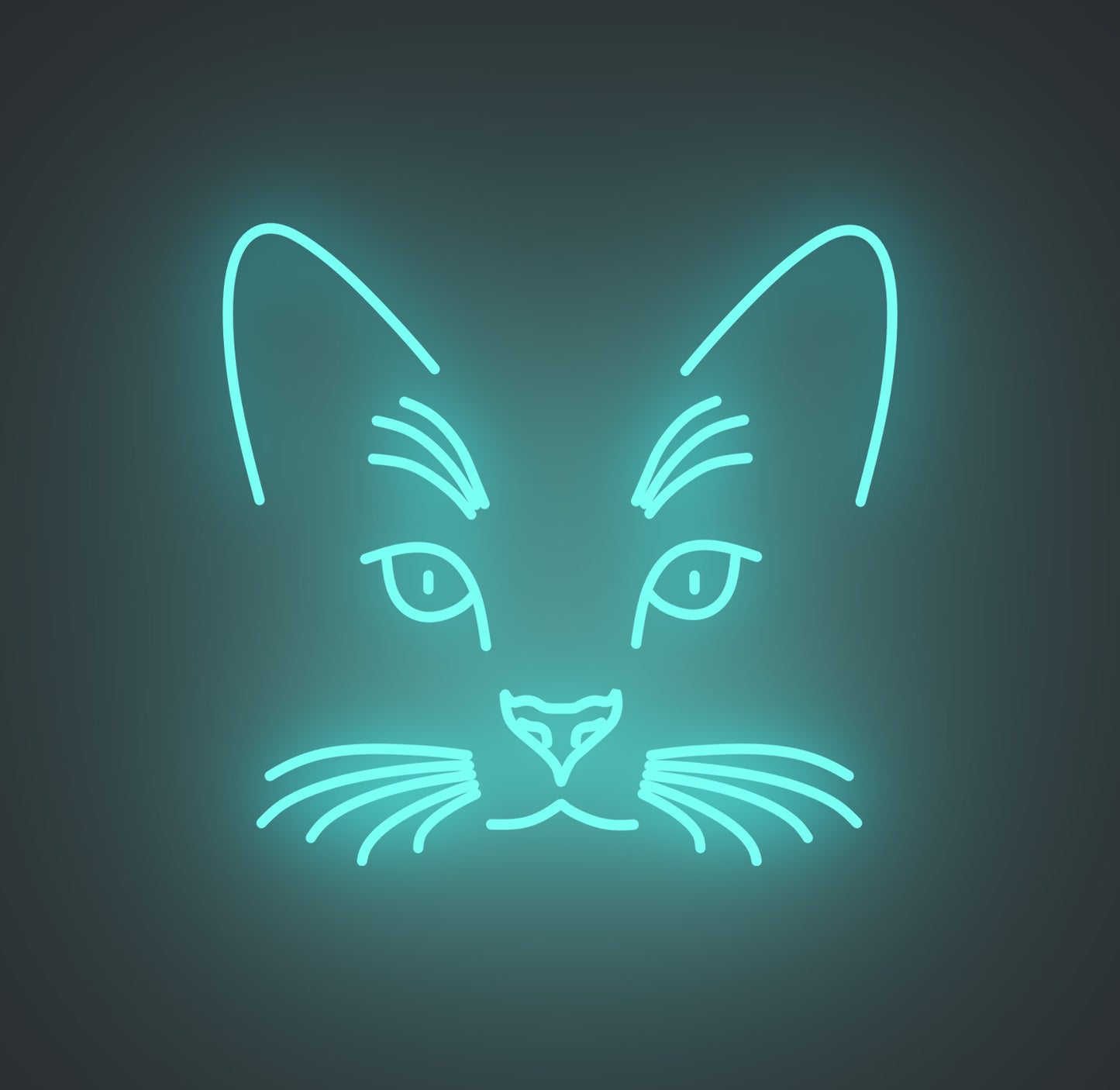 Cat Face