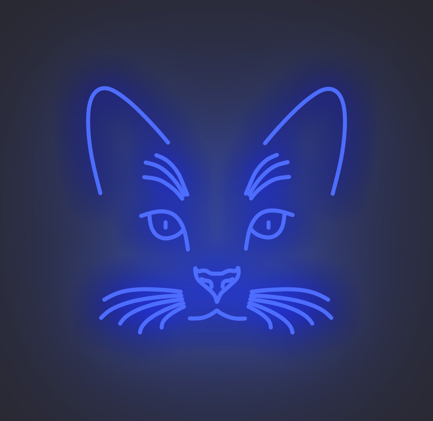 Cat Face