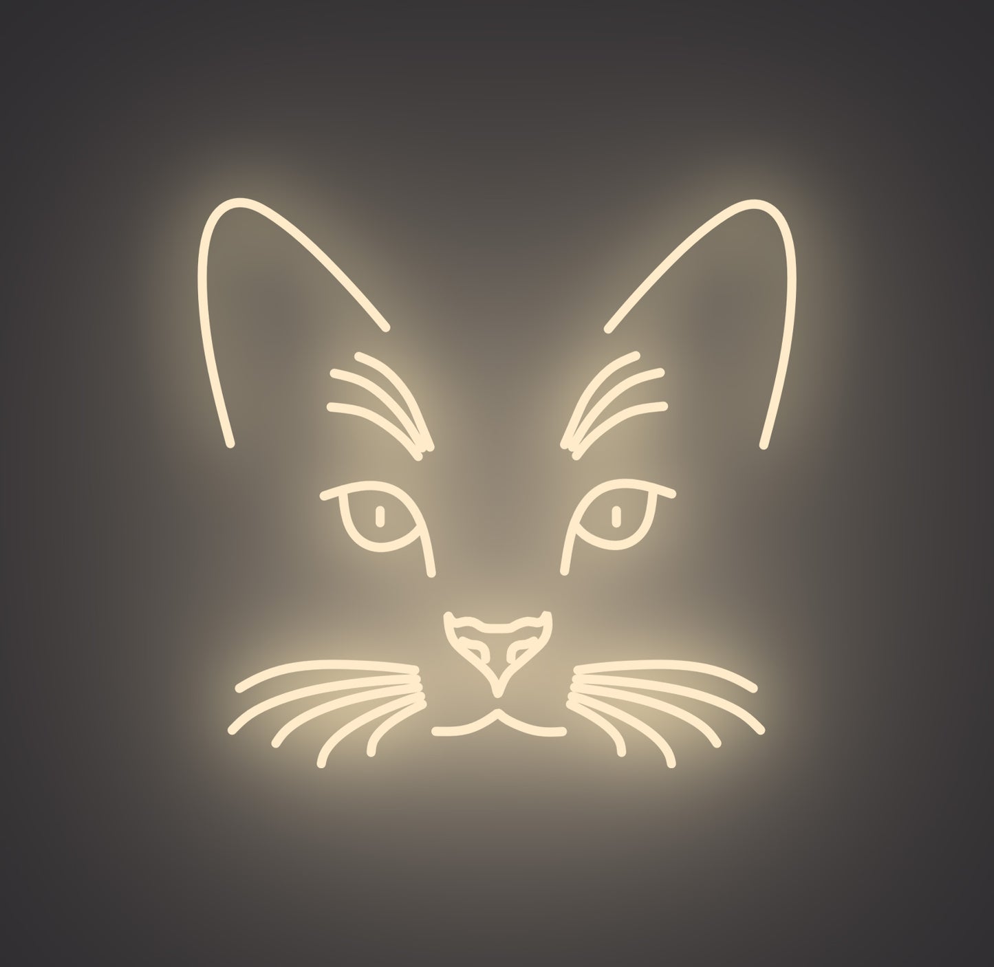 Cat Face
