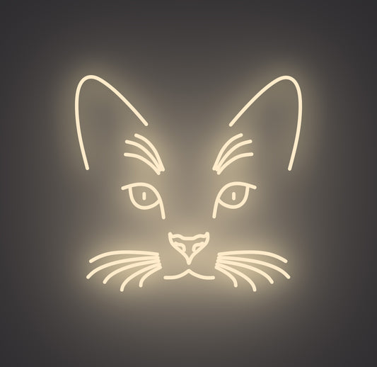 Cat Face