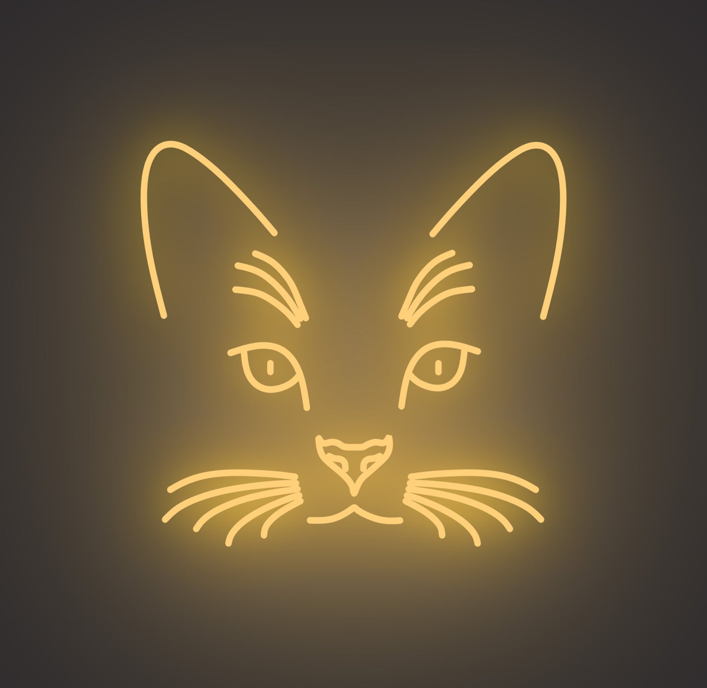 Cat Face