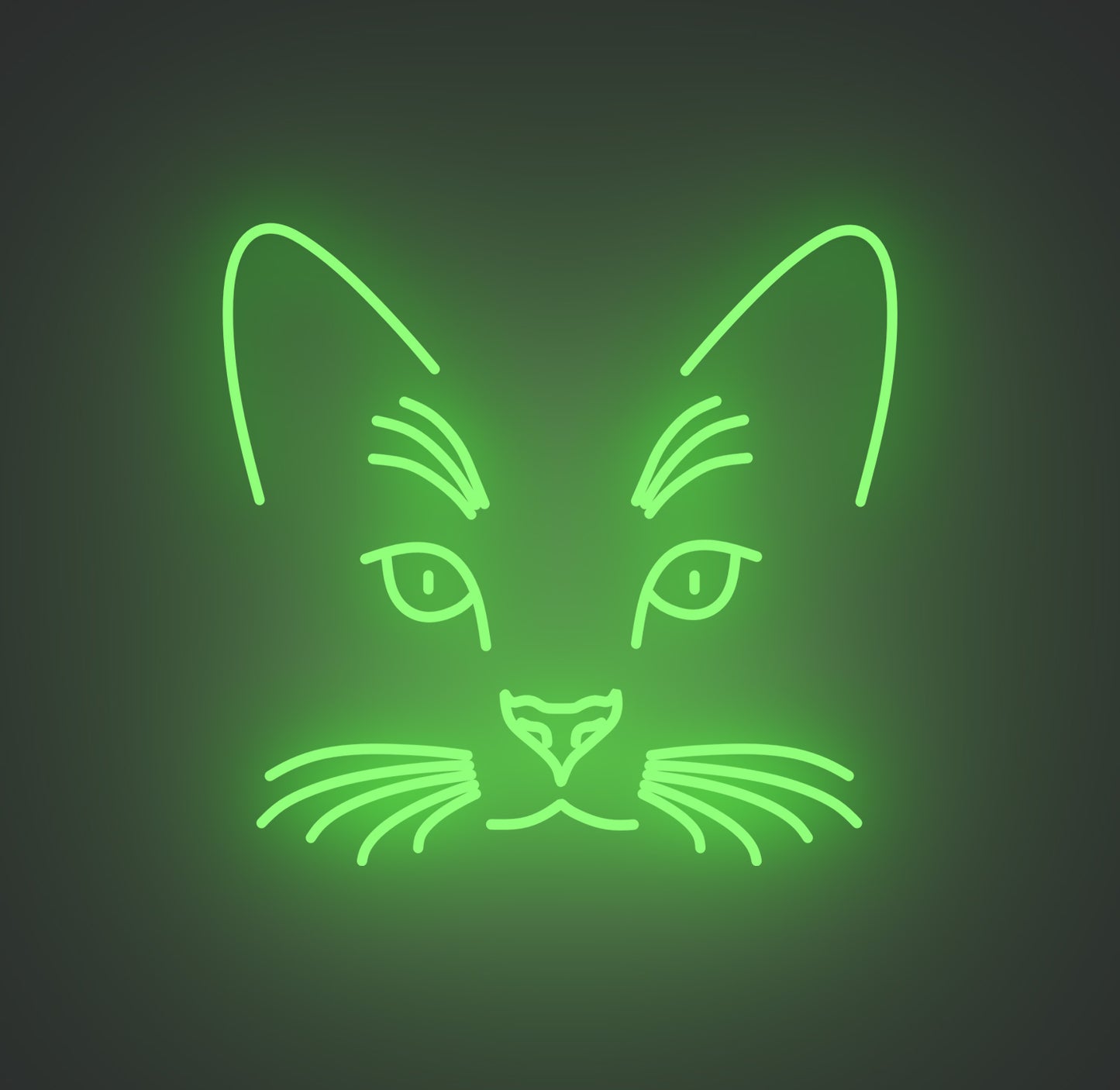 Cat Face