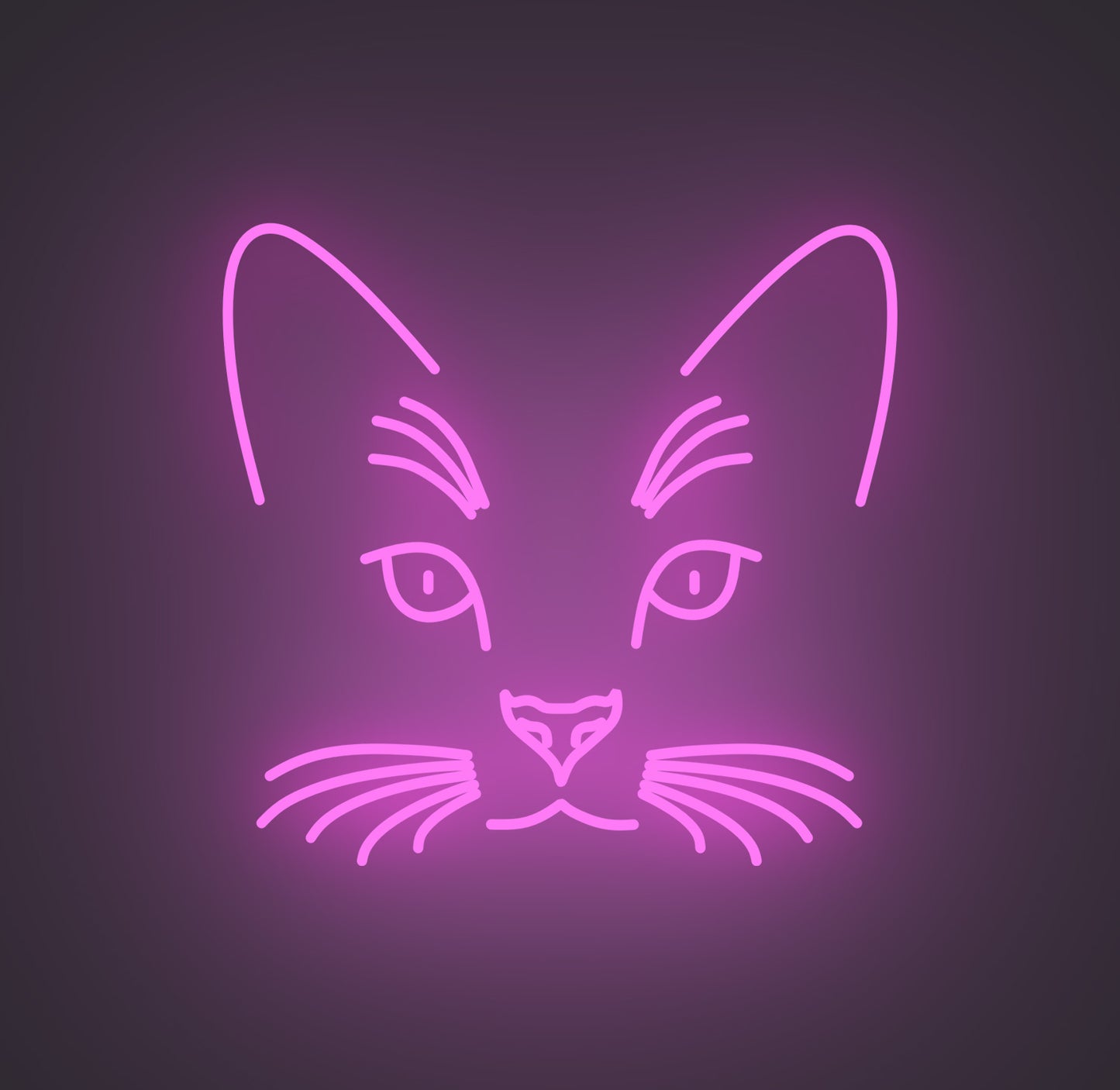Cat Face