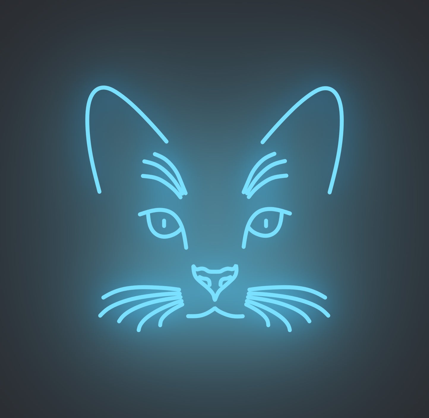 Cat Face