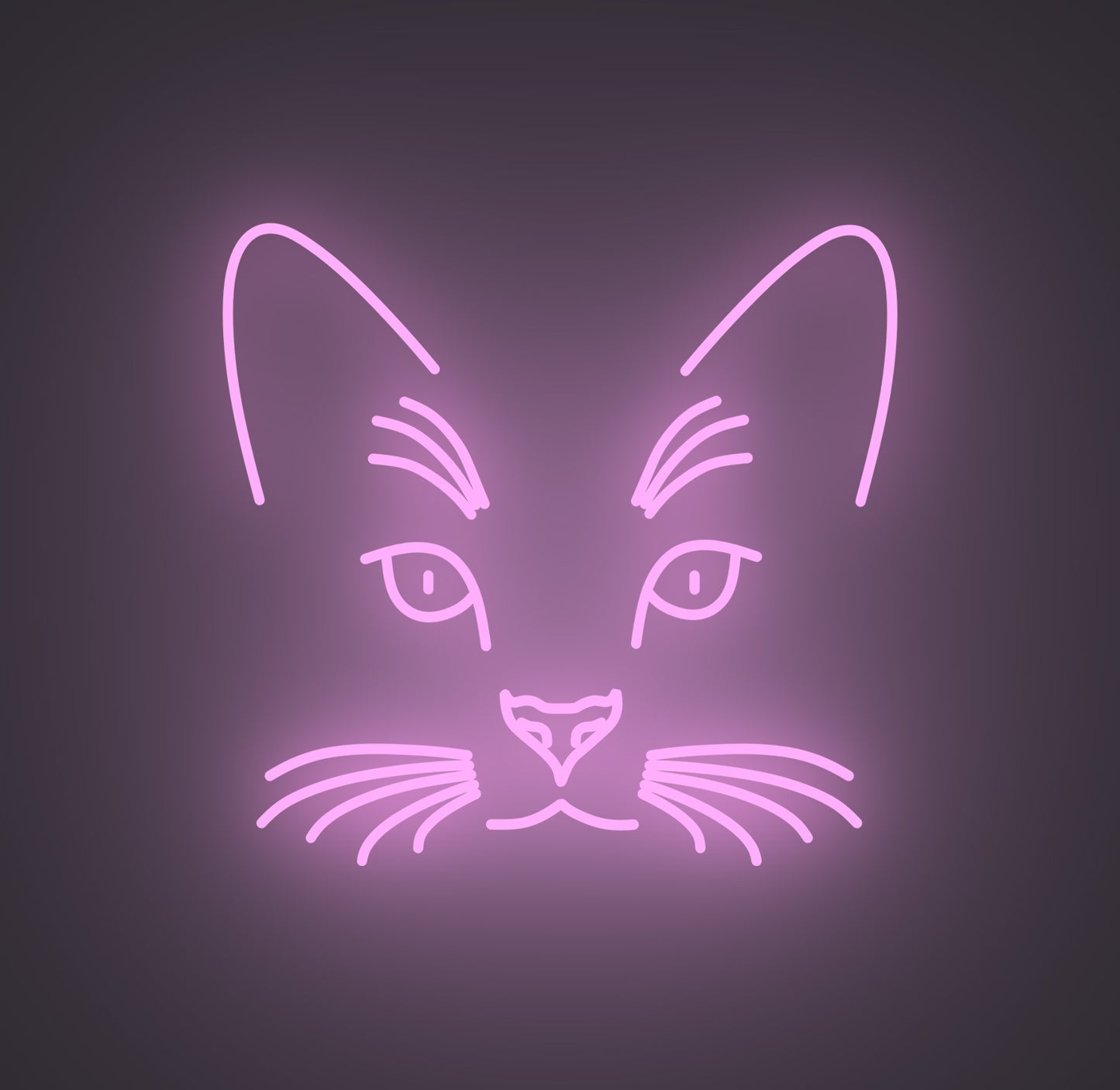 Cat Face
