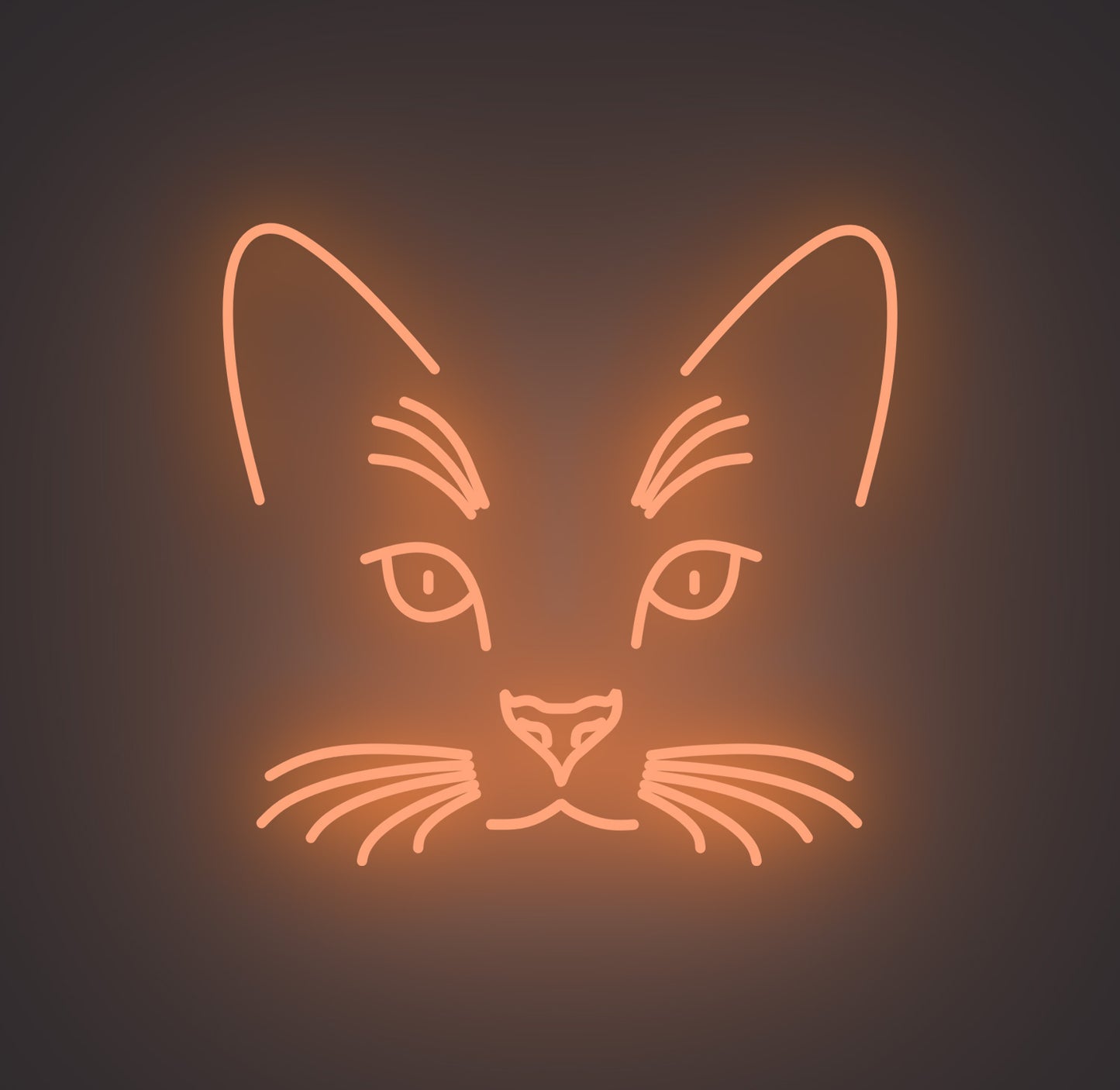Cat Face