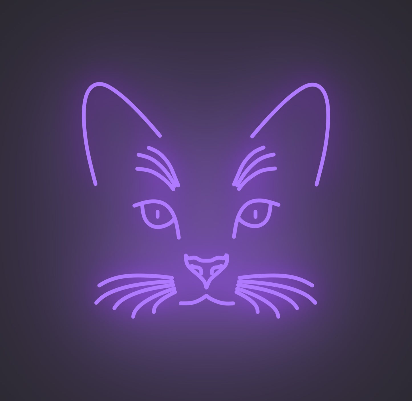Cat Face
