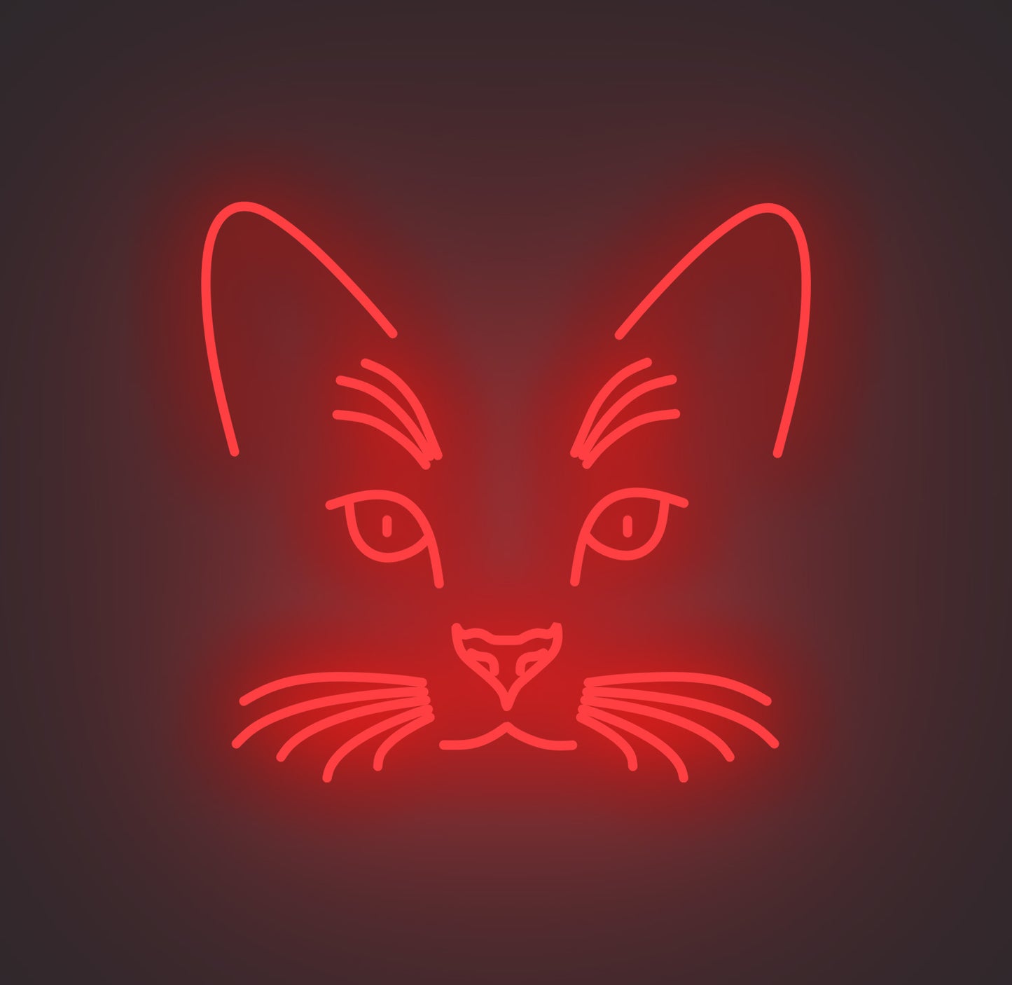 Cat Face