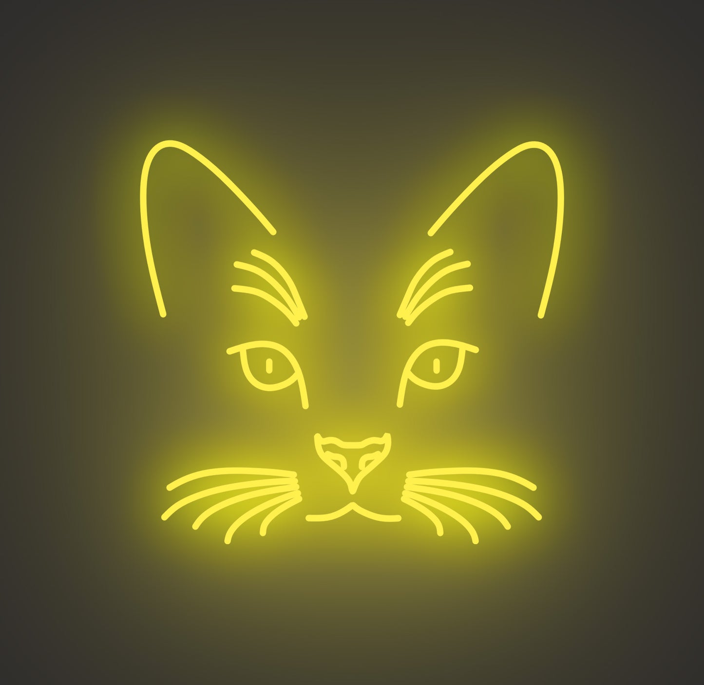Cat Face