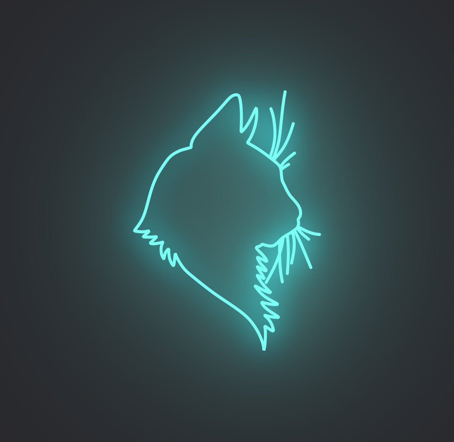 Feline