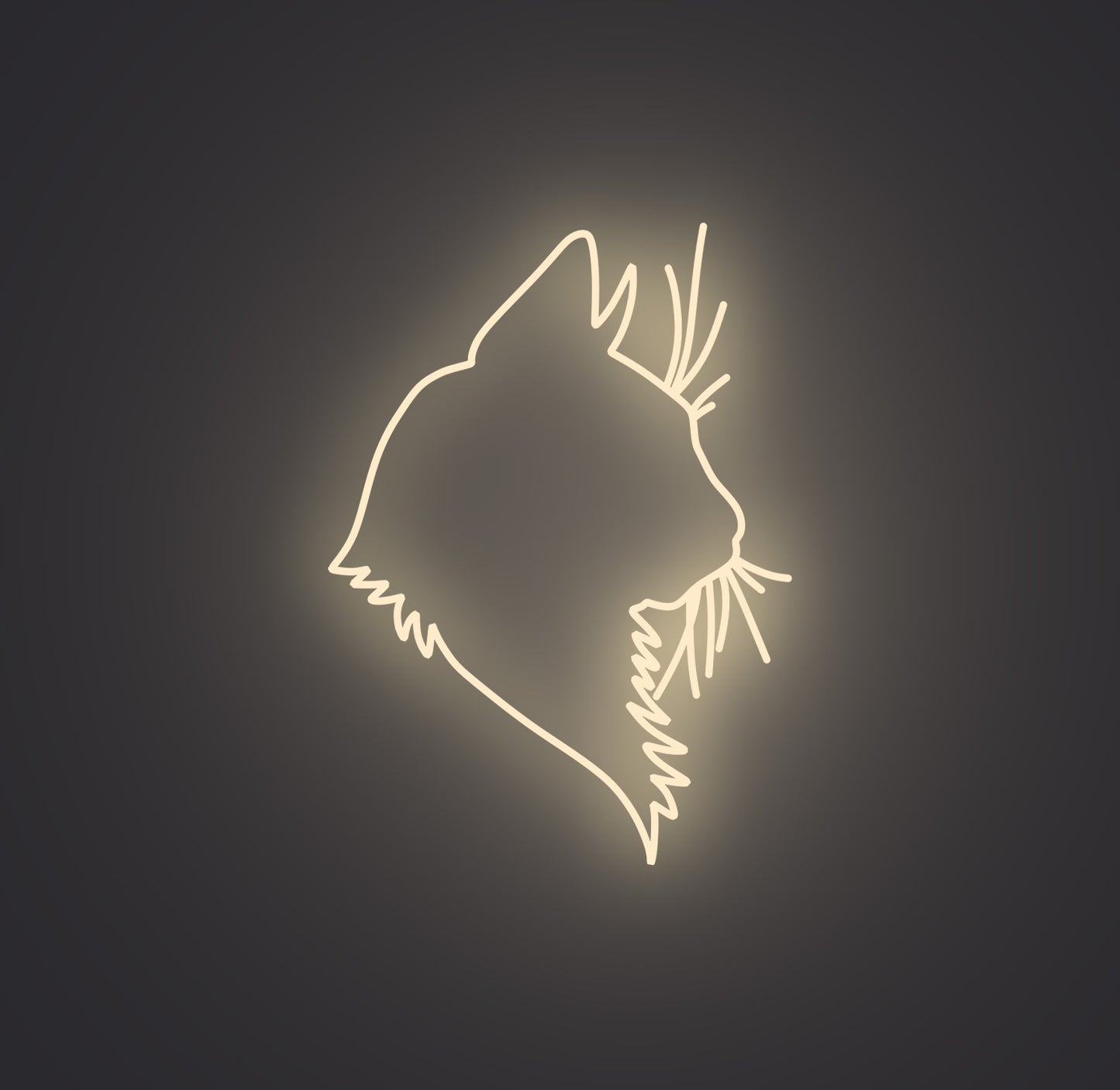 Feline