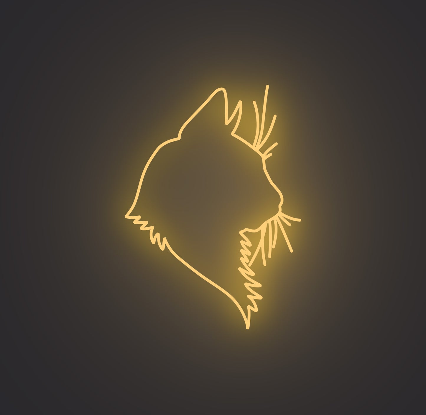 Feline