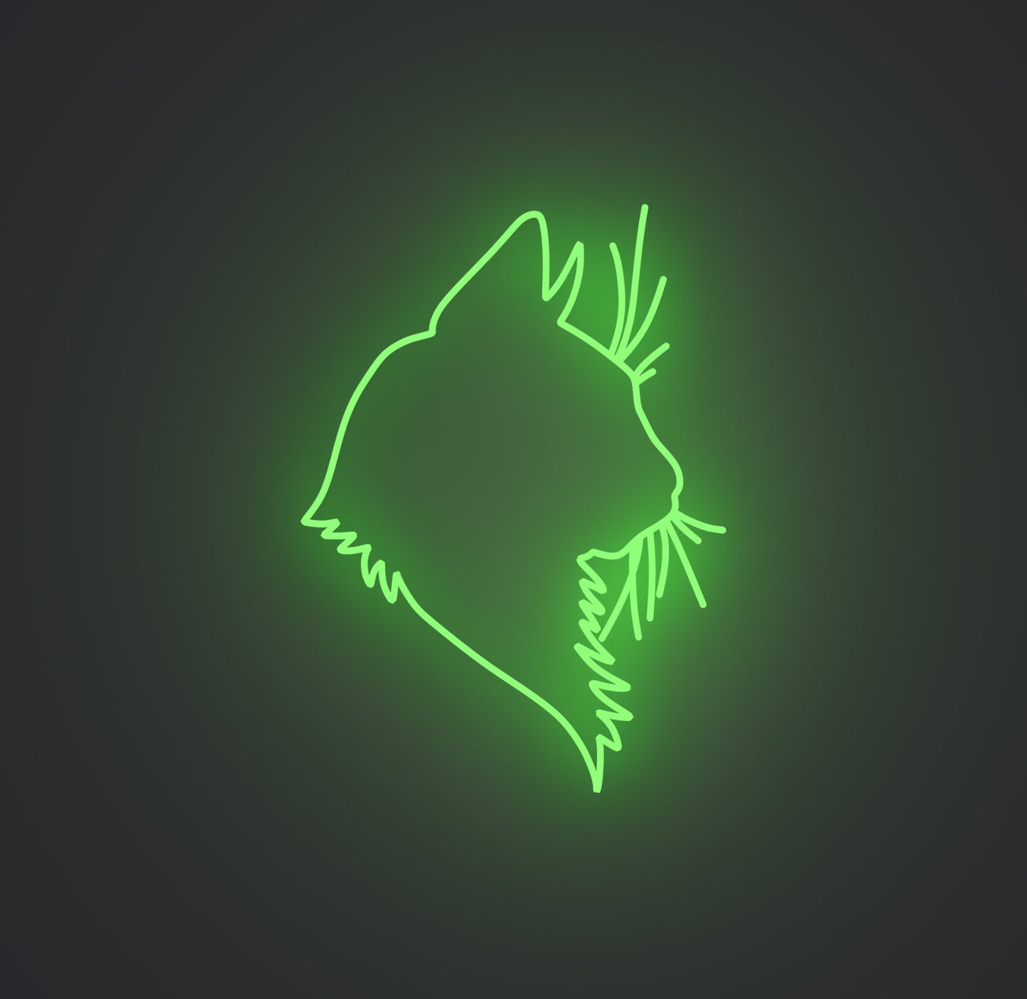 Feline