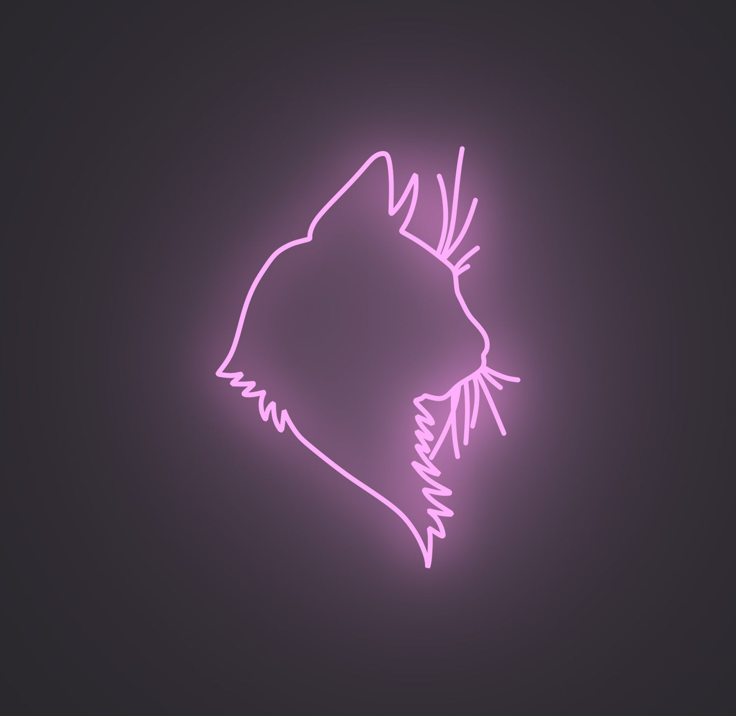 Feline