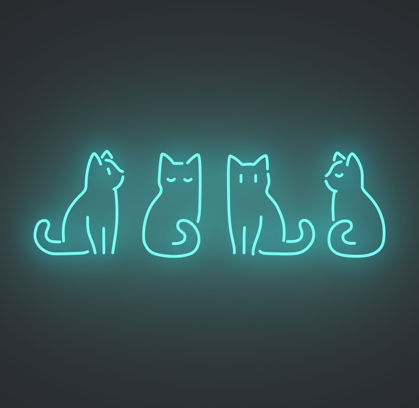 Kitty Cats