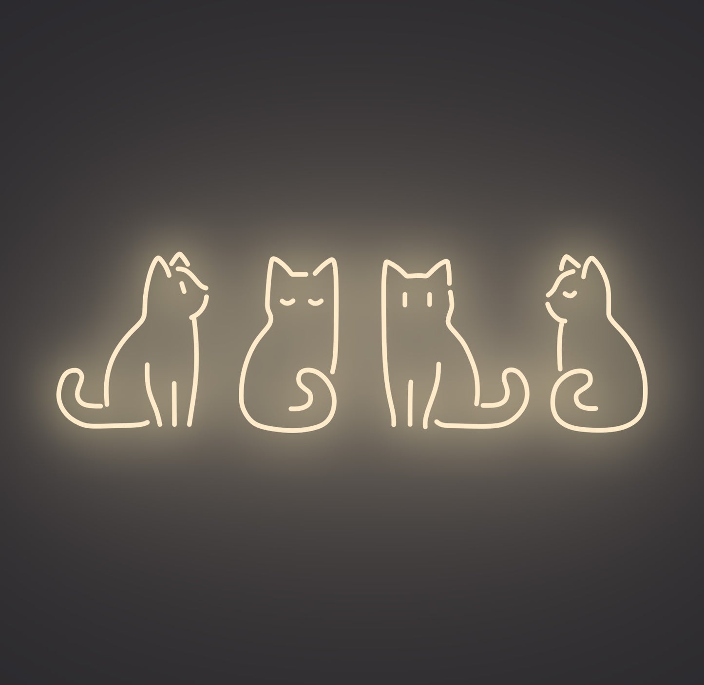 Kitty Cats