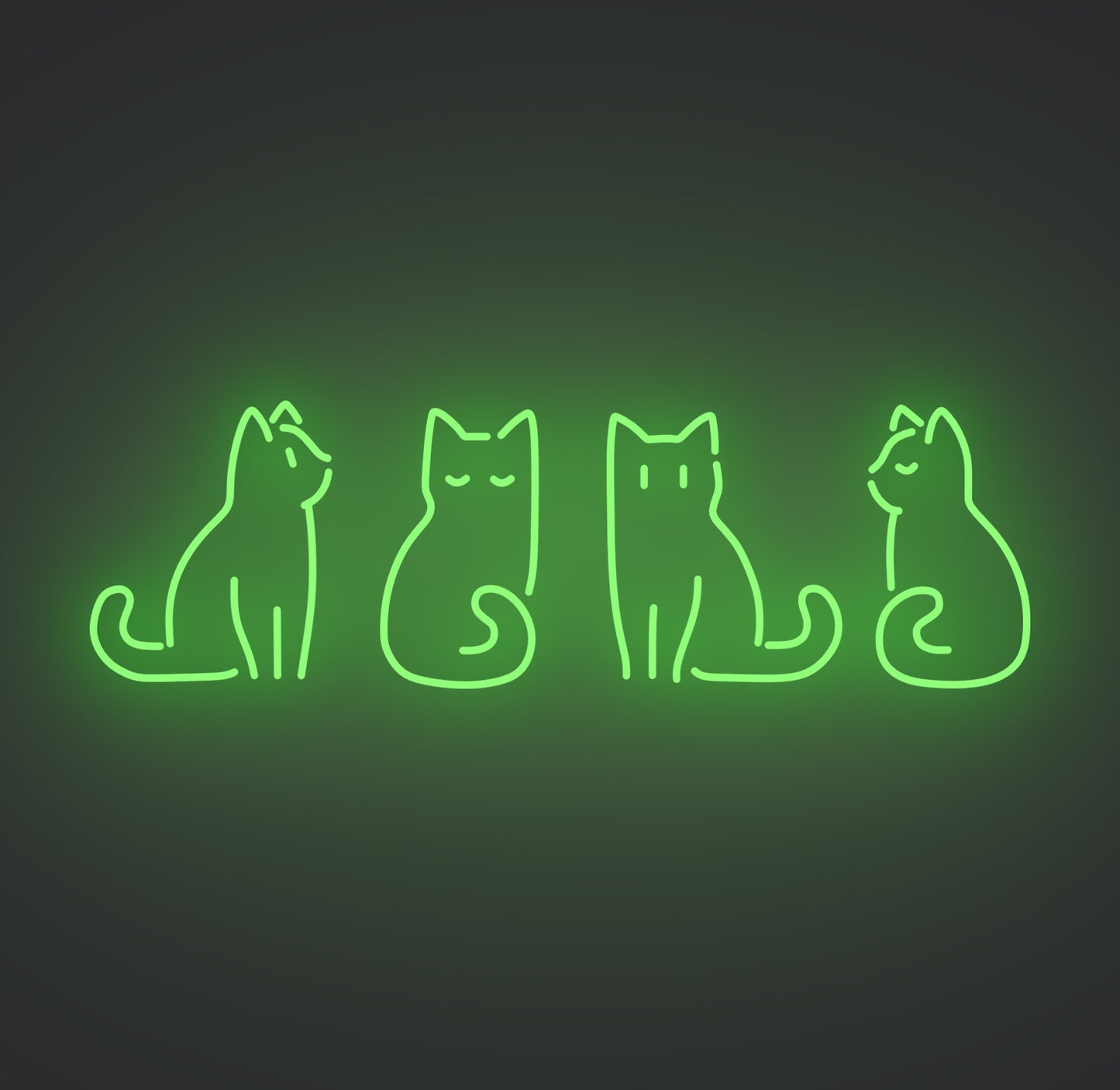 Kitty Cats