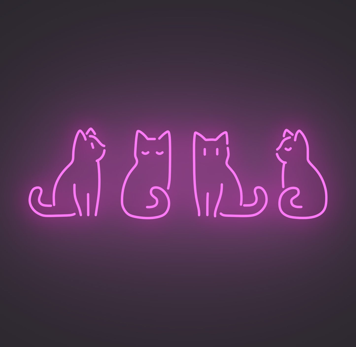Kitty Cats