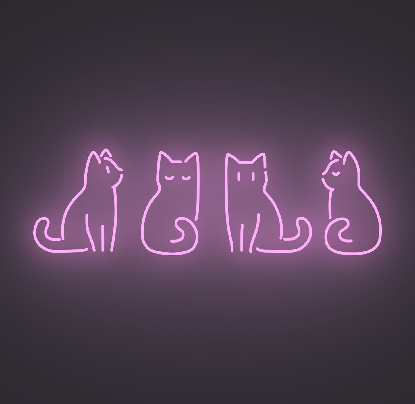 Kitty Cats