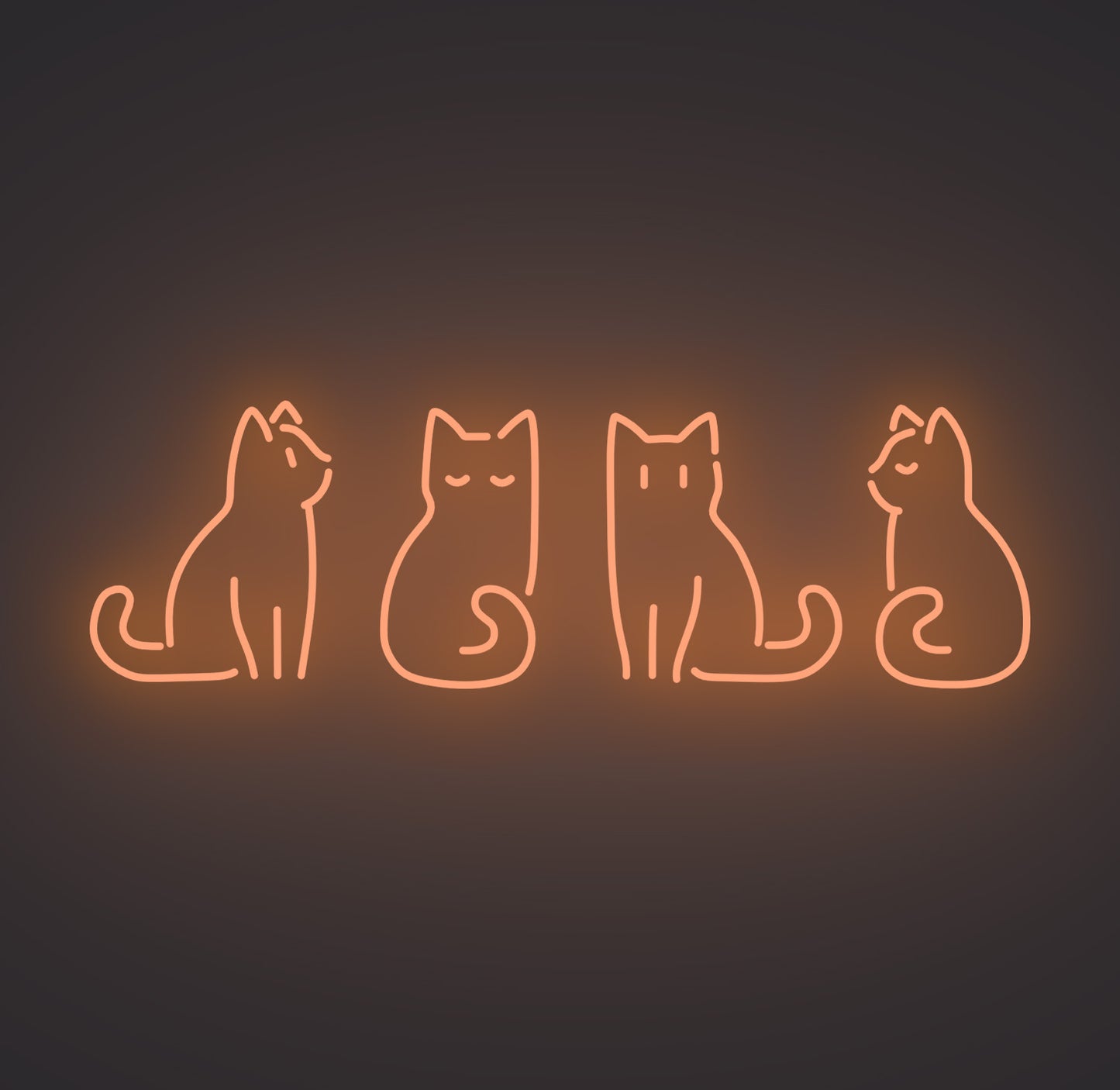 Kitty Cats