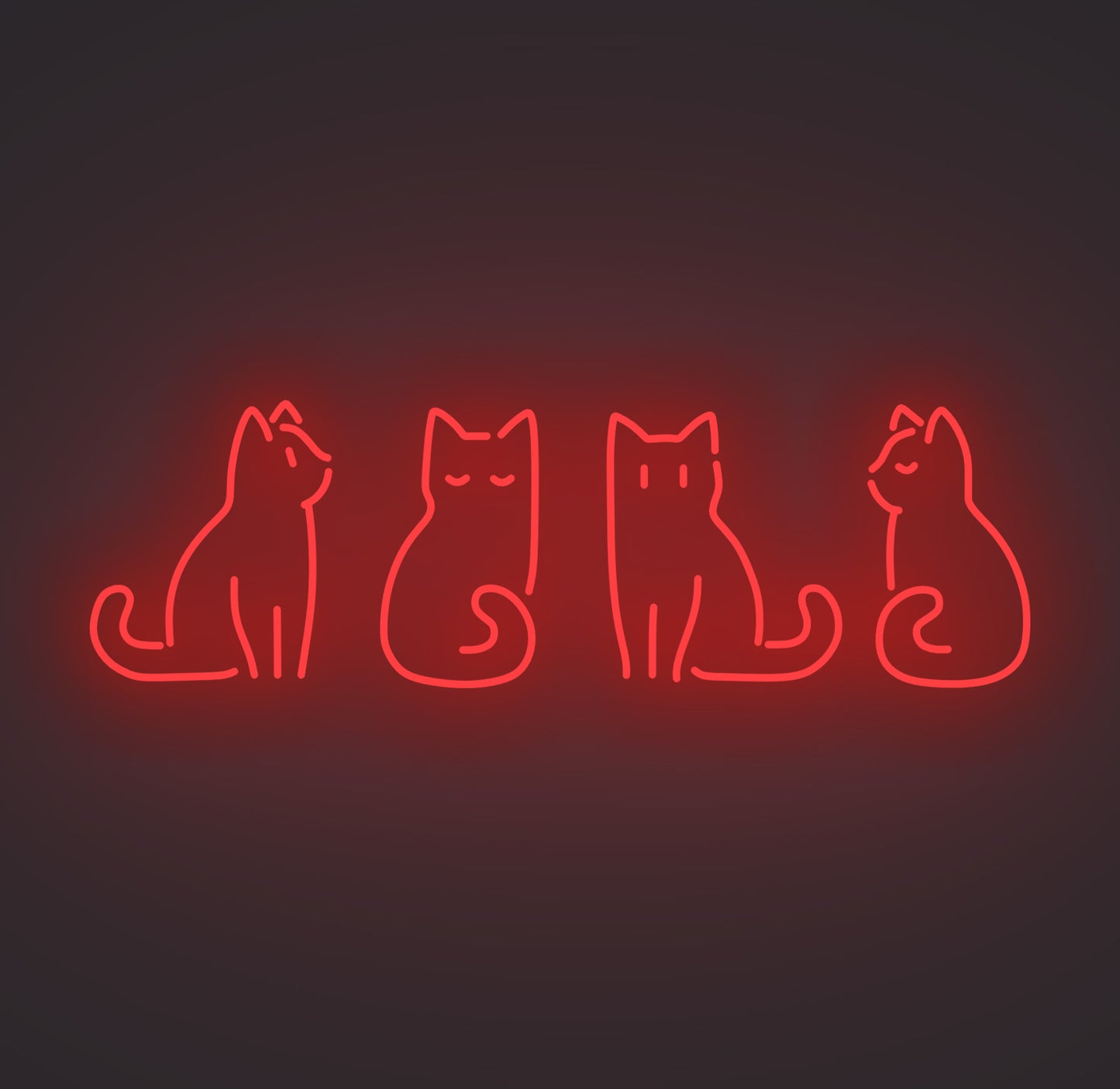 Kitty Cats