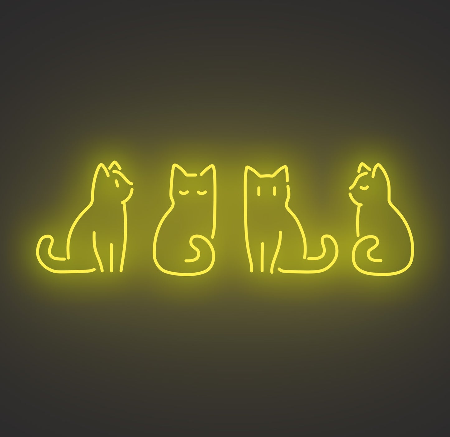 Kitty Cats