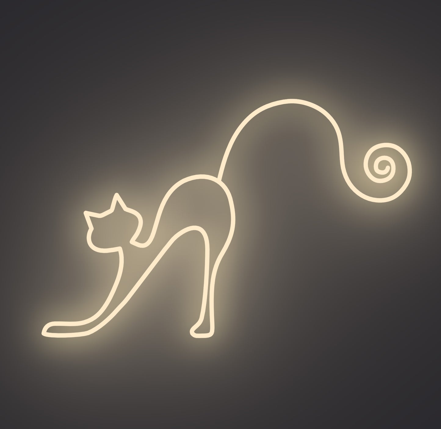 Playful Cat