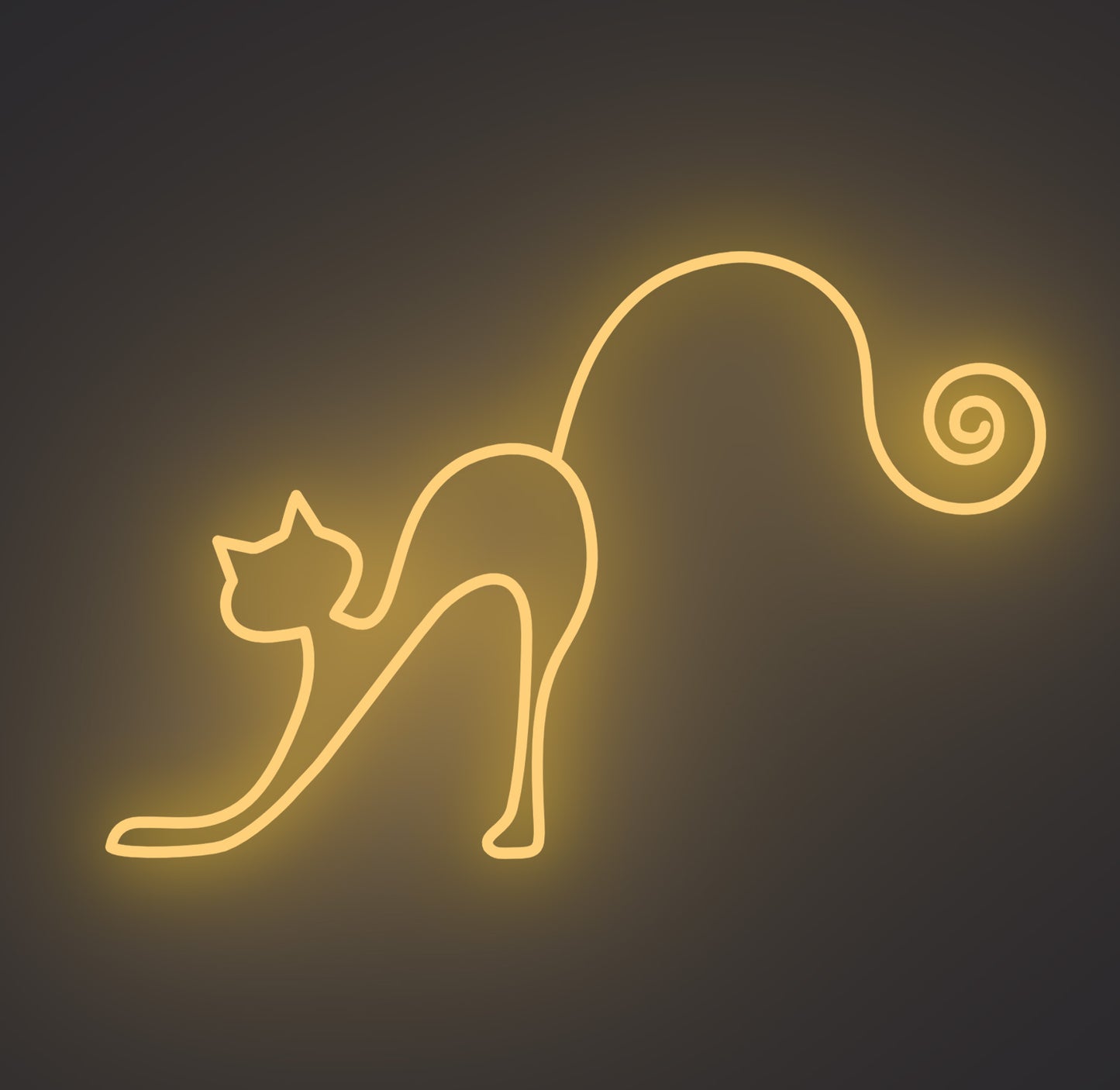 Playful Cat