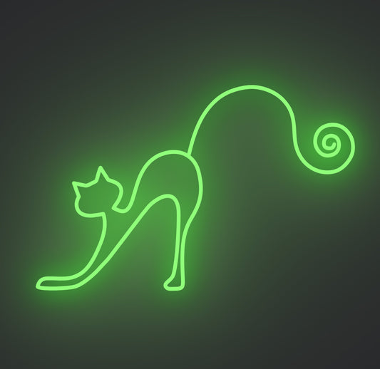 Playful Cat