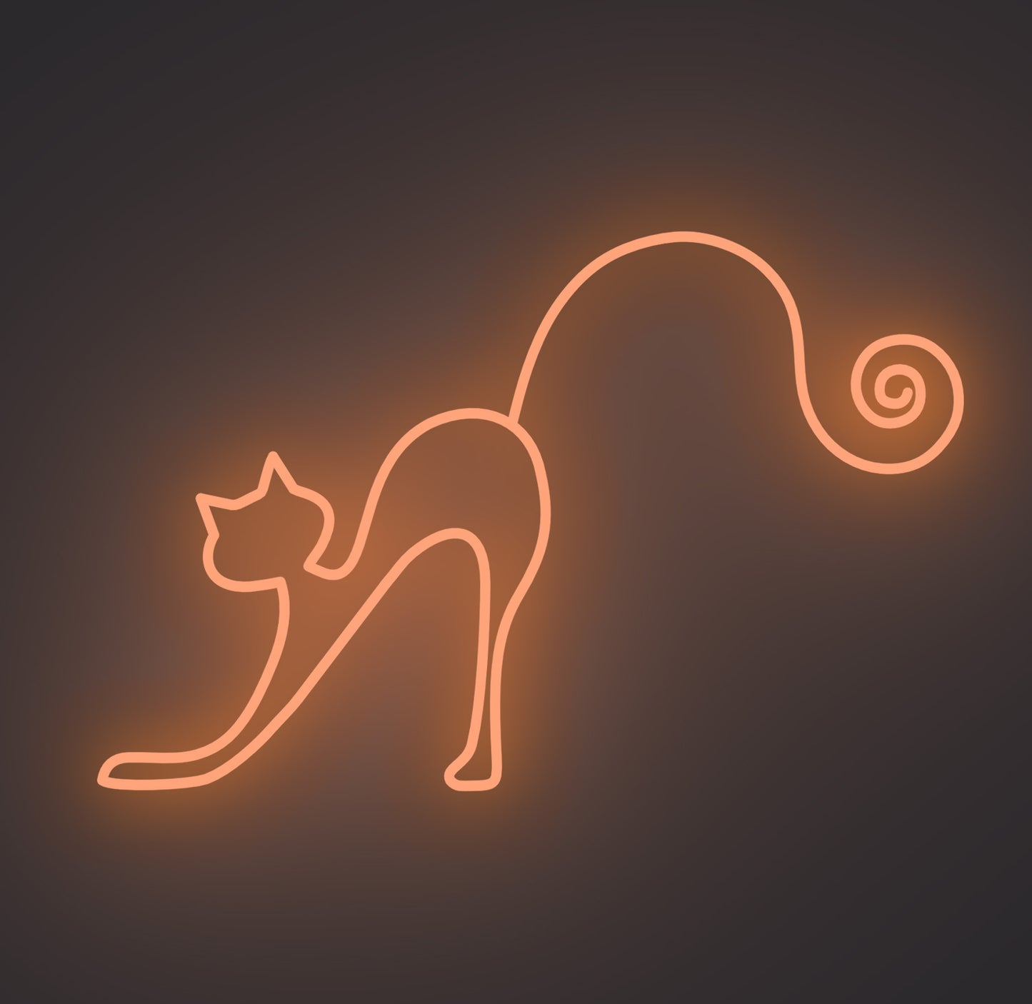 Playful Cat