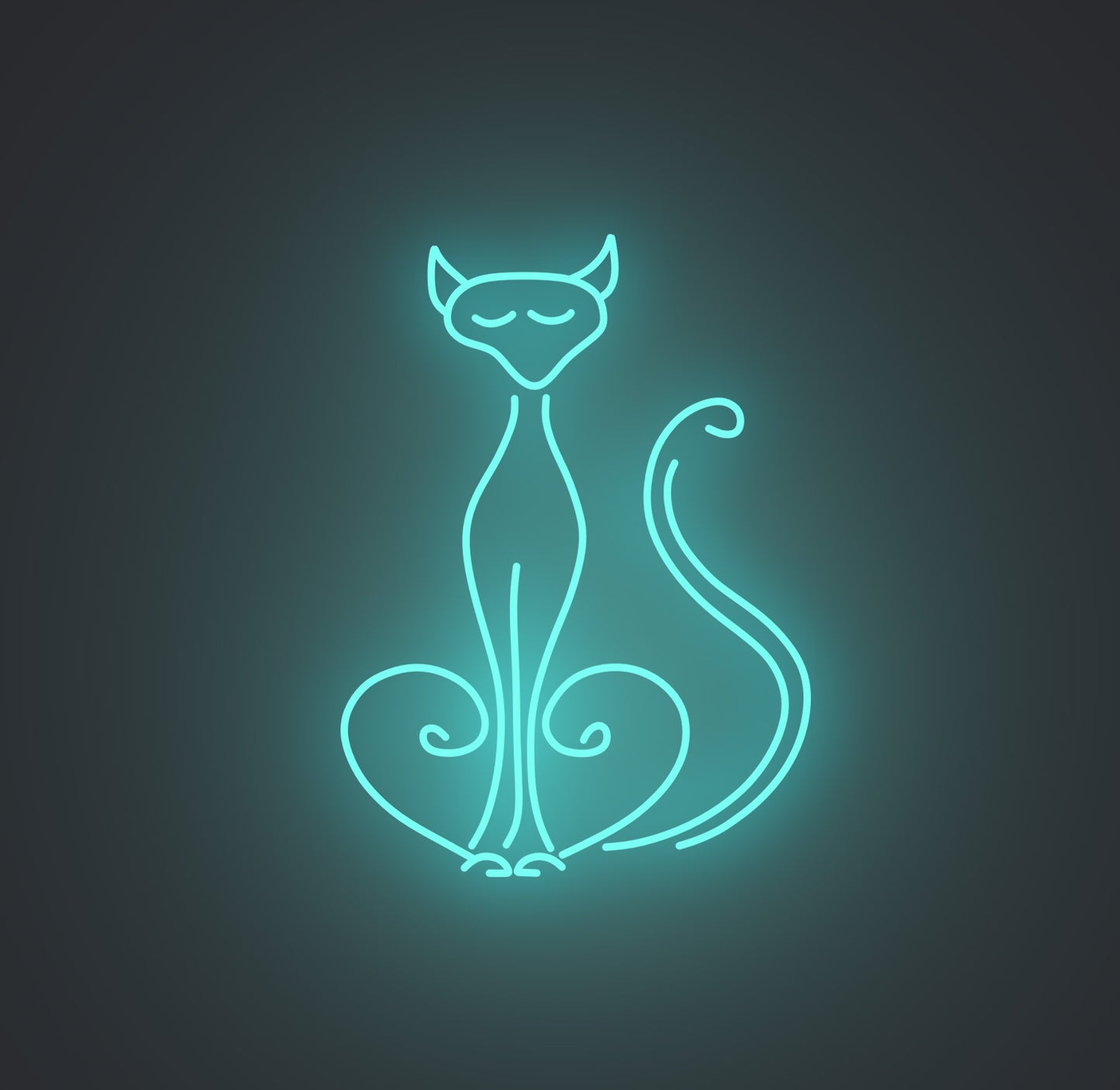 Pompous Cat