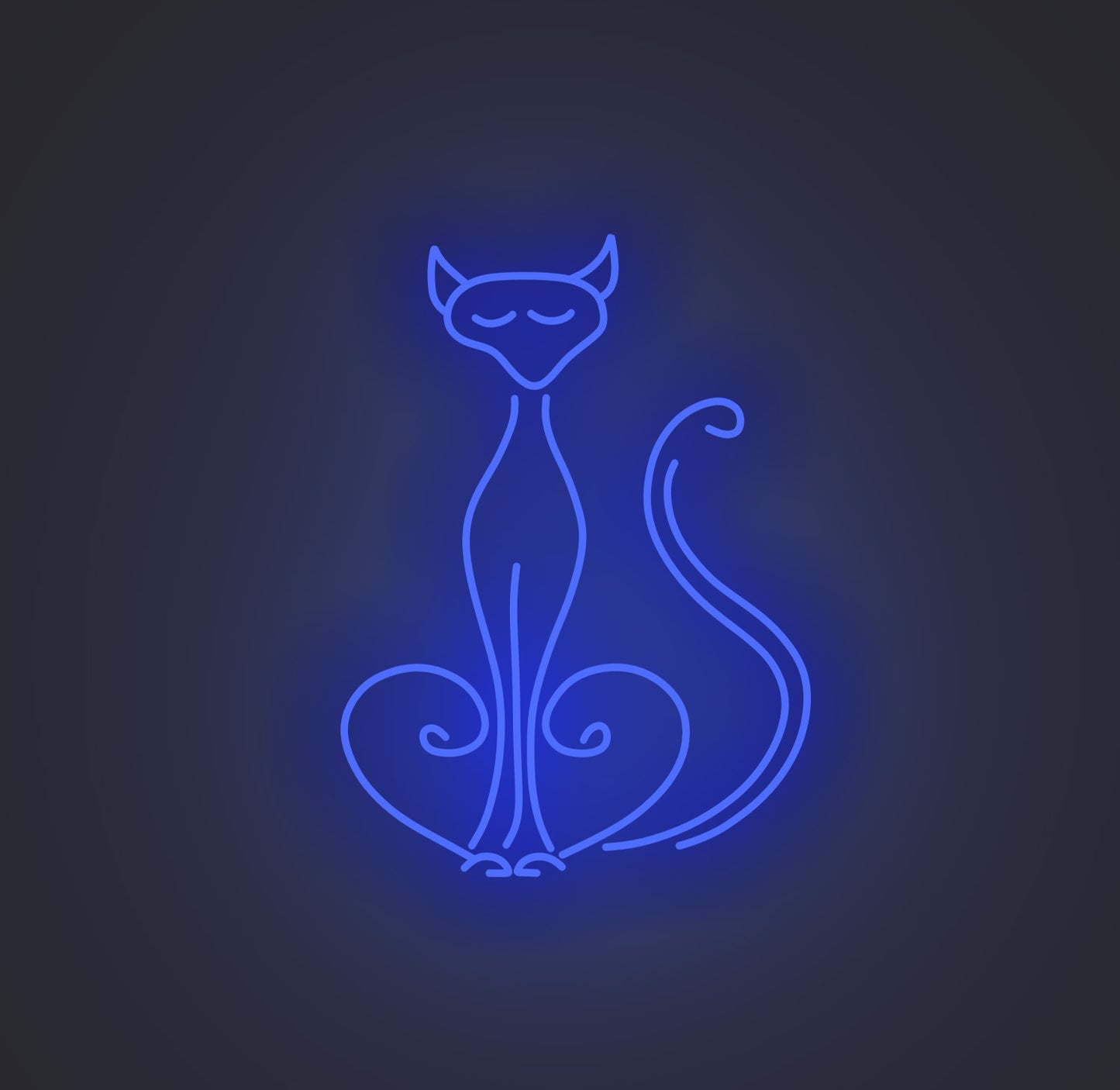Pompous Cat