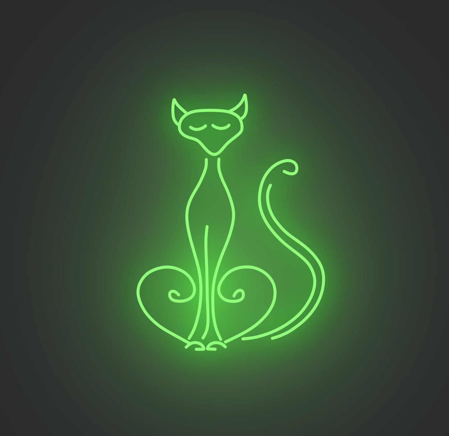 Pompous Cat