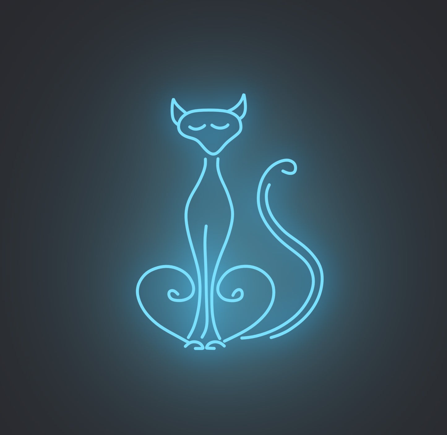 Pompous Cat
