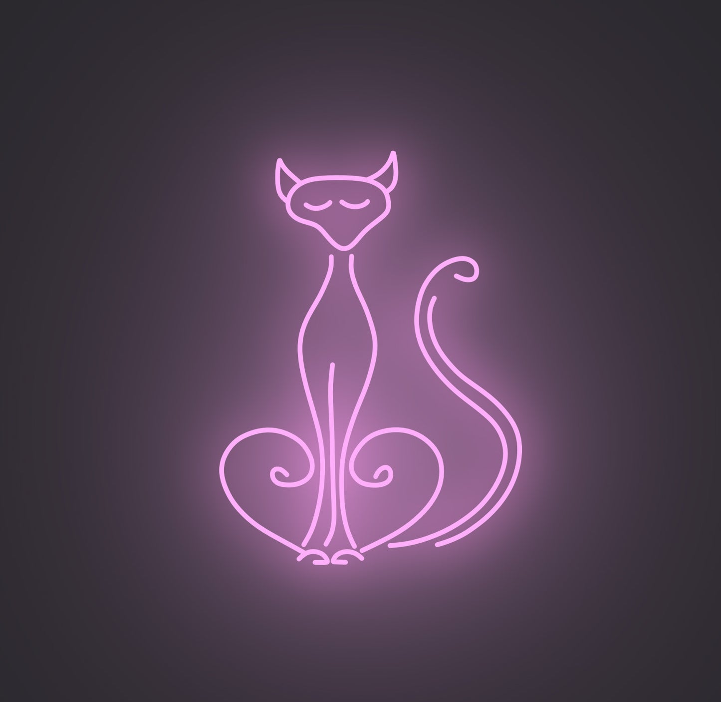 Pompous Cat