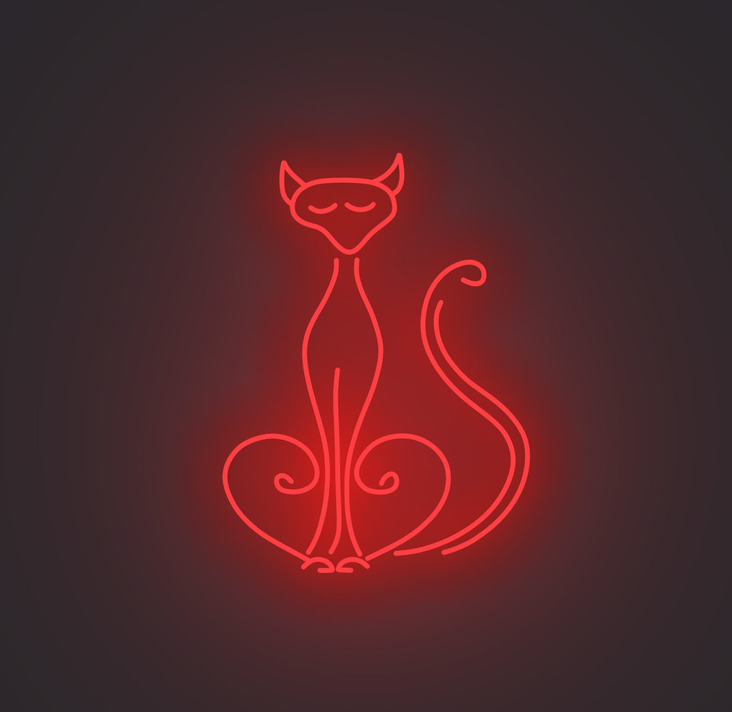 Pompous Cat